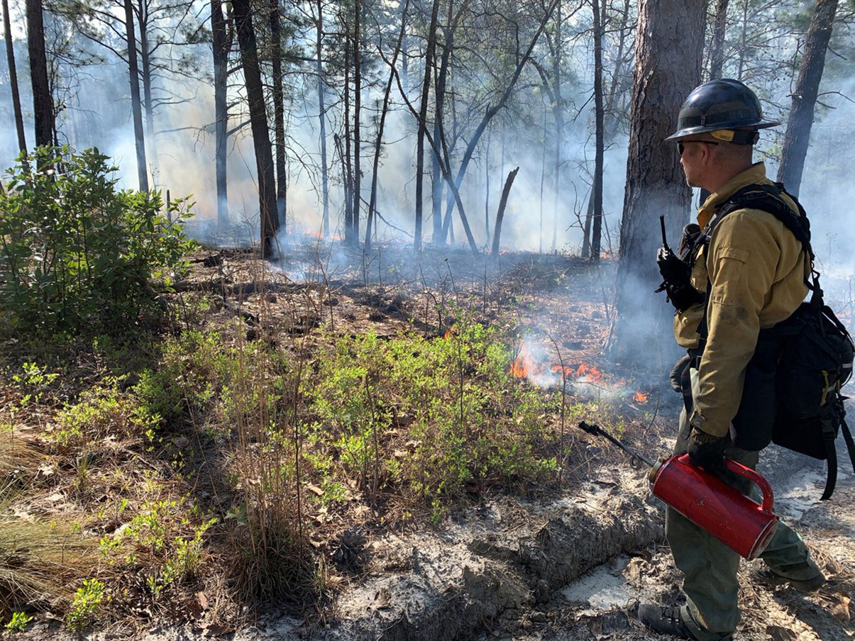Prescribed burn at Carolina Sandhills NWR FWS.gov